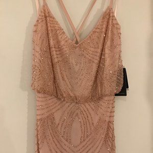 NWT Adrianna Papell Beaded Blush Gown, Size 0